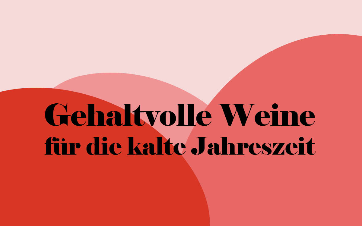 Weinprobe am 6. Februar 2025 - Gehaltvolle Weine für die kalte Jahreszeit