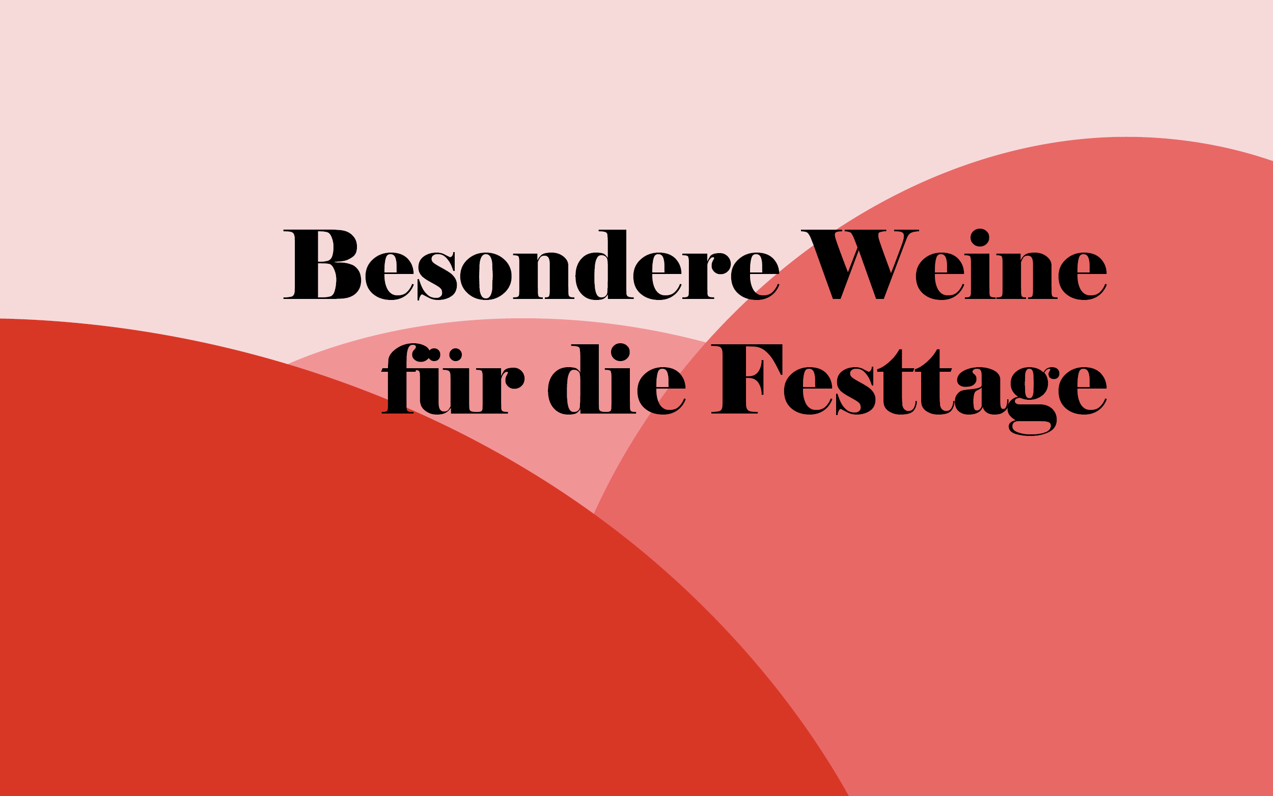 Weinprobe am 4. Dezember 2025 - Besondere Weine für die Festtage